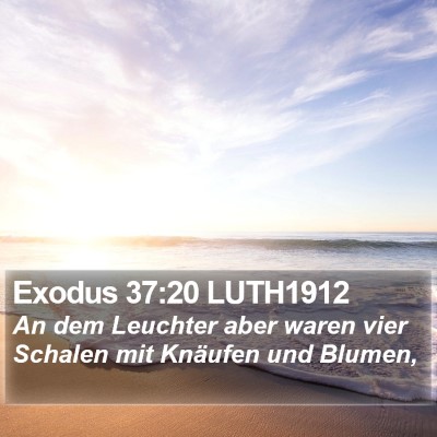 Exodus 37:20 LUTH1912 Bible Verse Image