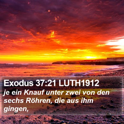 Exodus 37:21 LUTH1912 Bible Verse Image
