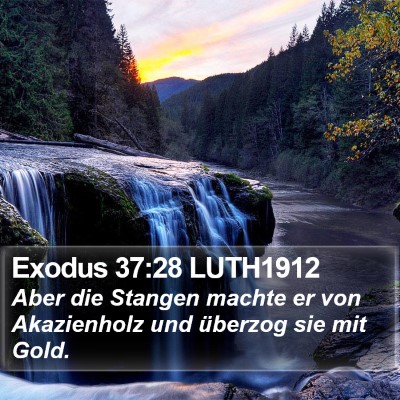 Exodus 37:28 LUTH1912 Bible Verse Image