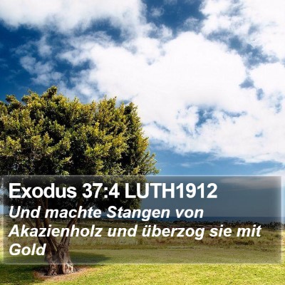 Exodus 37:4 LUTH1912 Bible Verse Image