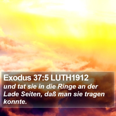 Exodus 37:5 LUTH1912 Bible Verse Image