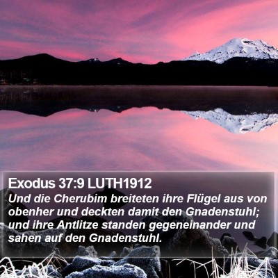 Exodus 37:9 LUTH1912 Bible Verse Image