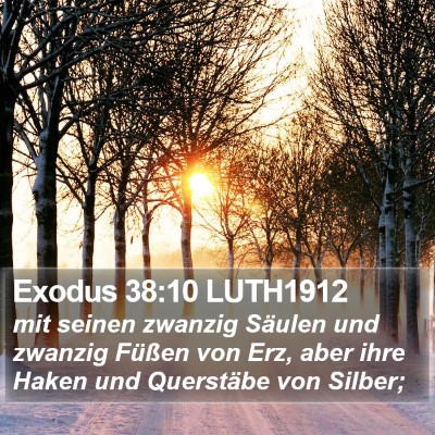 Exodus 38:10 LUTH1912 Bible Verse Image