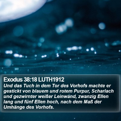 Exodus 38:18 LUTH1912 Bible Verse Image