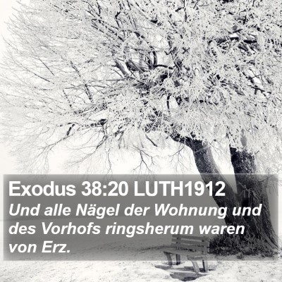 Exodus 38:20 LUTH1912 Bible Verse Image