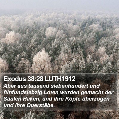 Exodus 38:28 LUTH1912 Bible Verse Image