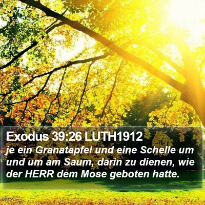 Exodus 39:26 LUTH1912 Bible Verse Image