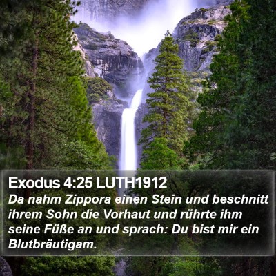 Exodus 4:25 LUTH1912 Bible Verse Image