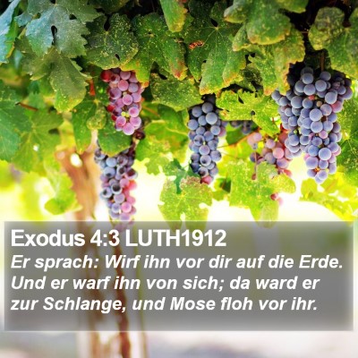 Exodus 4:3 LUTH1912 Bible Verse Image