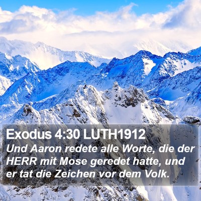 Exodus 4:30 LUTH1912 Bible Verse Image