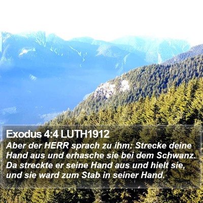 Exodus 4:4 LUTH1912 Bible Verse Image