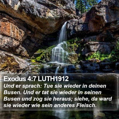 Exodus 4:7 LUTH1912 Bible Verse Image