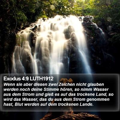 Exodus 4:9 LUTH1912 Bible Verse Image