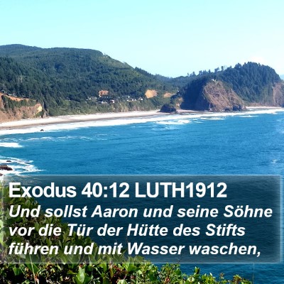 Exodus 40:12 LUTH1912 Bible Verse Image