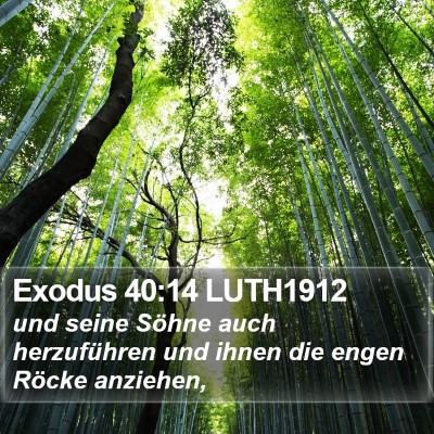 Exodus 40:14 LUTH1912 Bible Verse Image
