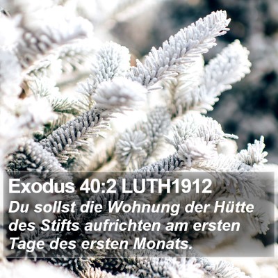 Exodus 40:2 LUTH1912 Bible Verse Image