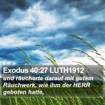 Exodus 40:27 LUTH1912 Bible Verse Image