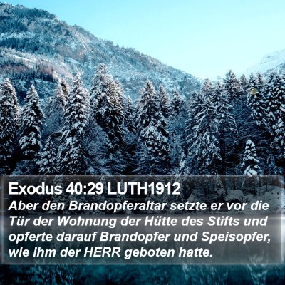 Exodus 40:29 LUTH1912 Bible Verse Image