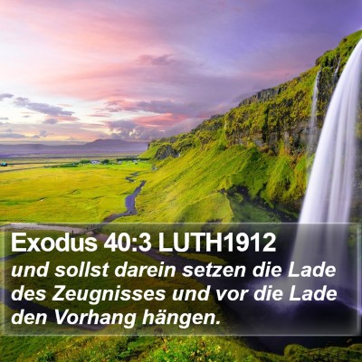 Exodus 40:3 LUTH1912 Bible Verse Image