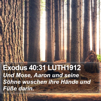 Exodus 40:31 LUTH1912 Bible Verse Image