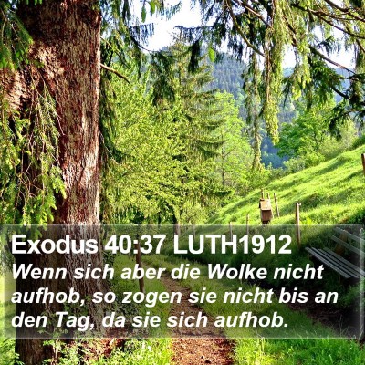 Exodus 40:37 LUTH1912 Bible Verse Image
