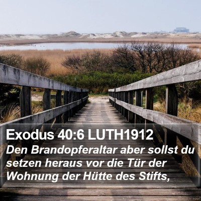 Exodus 40:6 LUTH1912 Bible Verse Image