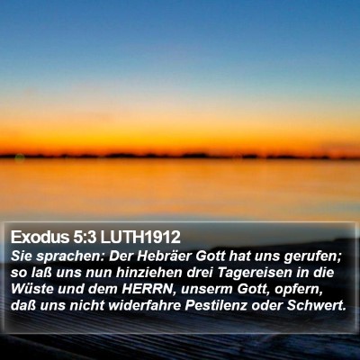 Exodus 5:3 LUTH1912 Bible Verse Image