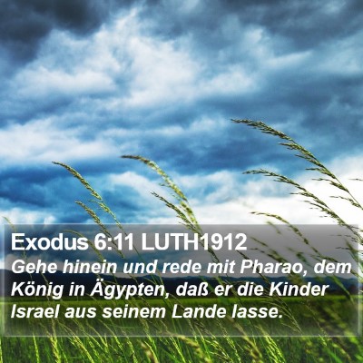 Exodus 6:11 LUTH1912 Bible Verse Image