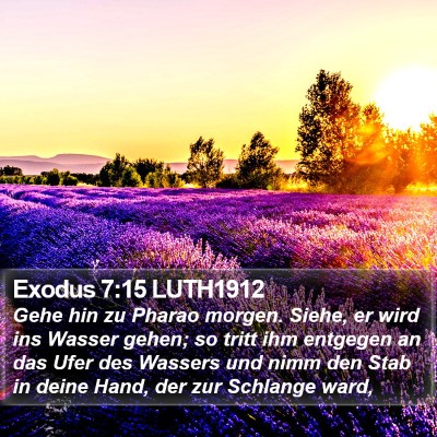 Exodus 7:15 LUTH1912 Bible Verse Image