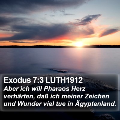 Exodus 7:3 LUTH1912 Bible Verse Image