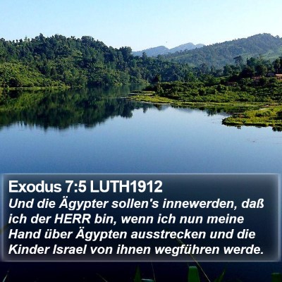 Exodus 7:5 LUTH1912 Bible Verse Image