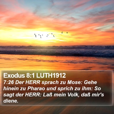 Exodus 8:1 LUTH1912 Bible Verse Image