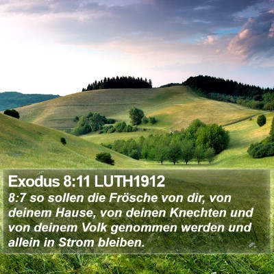 Exodus 8:11 LUTH1912 Bible Verse Image