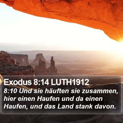 Exodus 8:14 LUTH1912 Bible Verse Image