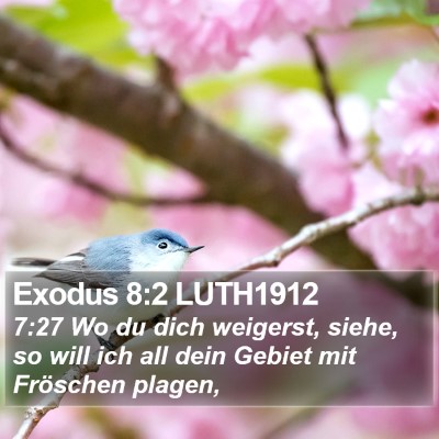 Exodus 8:2 LUTH1912 Bible Verse Image