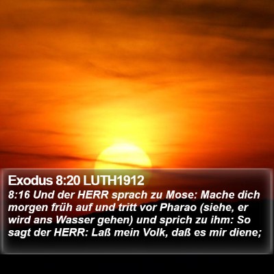 Exodus 8:20 LUTH1912 Bible Verse Image