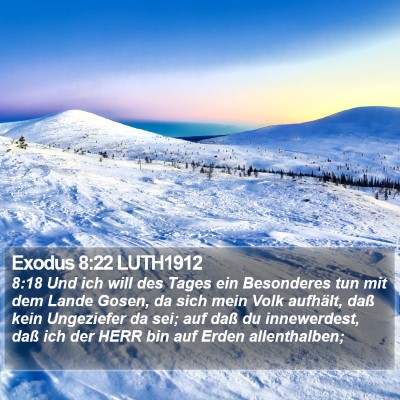 Exodus 8:22 LUTH1912 Bible Verse Image