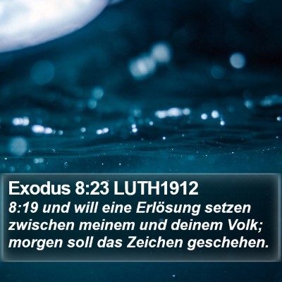 Exodus 8:23 LUTH1912 Bible Verse Image