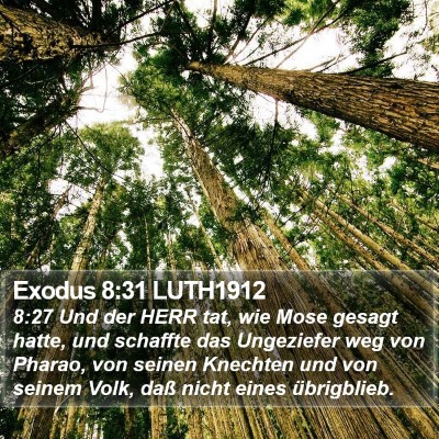 Exodus 8:31 LUTH1912 Bible Verse Image