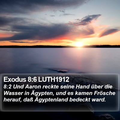 Exodus 8:6 LUTH1912 Bible Verse Image