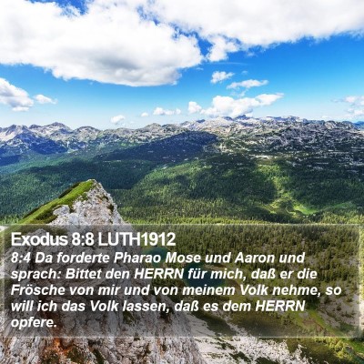 Exodus 8:8 LUTH1912 Bible Verse Image