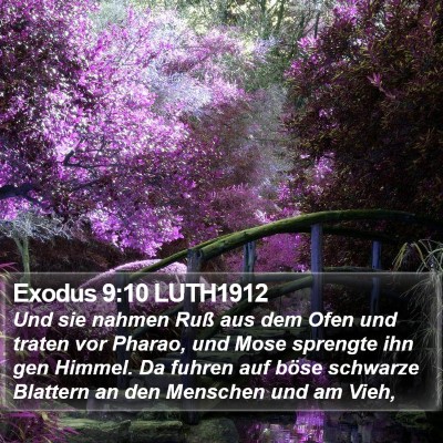 Exodus 9:10 LUTH1912 Bible Verse Image
