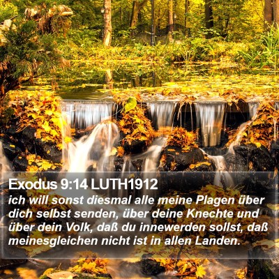 Exodus 9:14 LUTH1912 Bible Verse Image