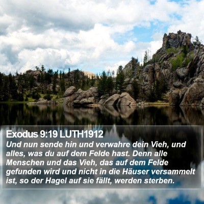 Exodus 9:19 LUTH1912 Bible Verse Image