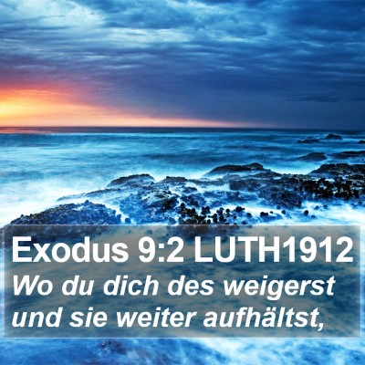 Exodus 9:2 LUTH1912 Bible Verse Image