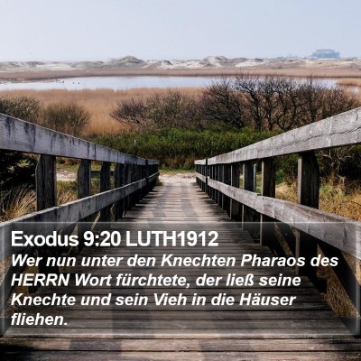 Exodus 9:20 LUTH1912 Bible Verse Image