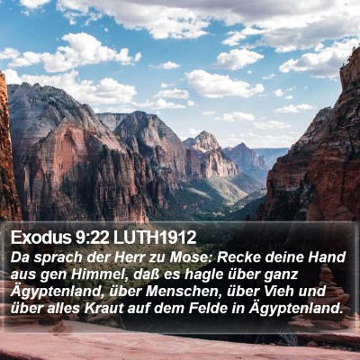Exodus 9:22 LUTH1912 Bible Verse Image