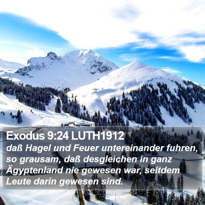 Exodus 9:24 LUTH1912 Bible Verse Image