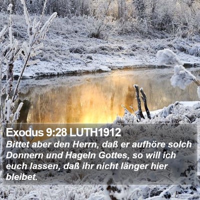 Exodus 9:28 LUTH1912 Bible Verse Image