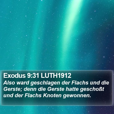Exodus 9:31 LUTH1912 Bible Verse Image